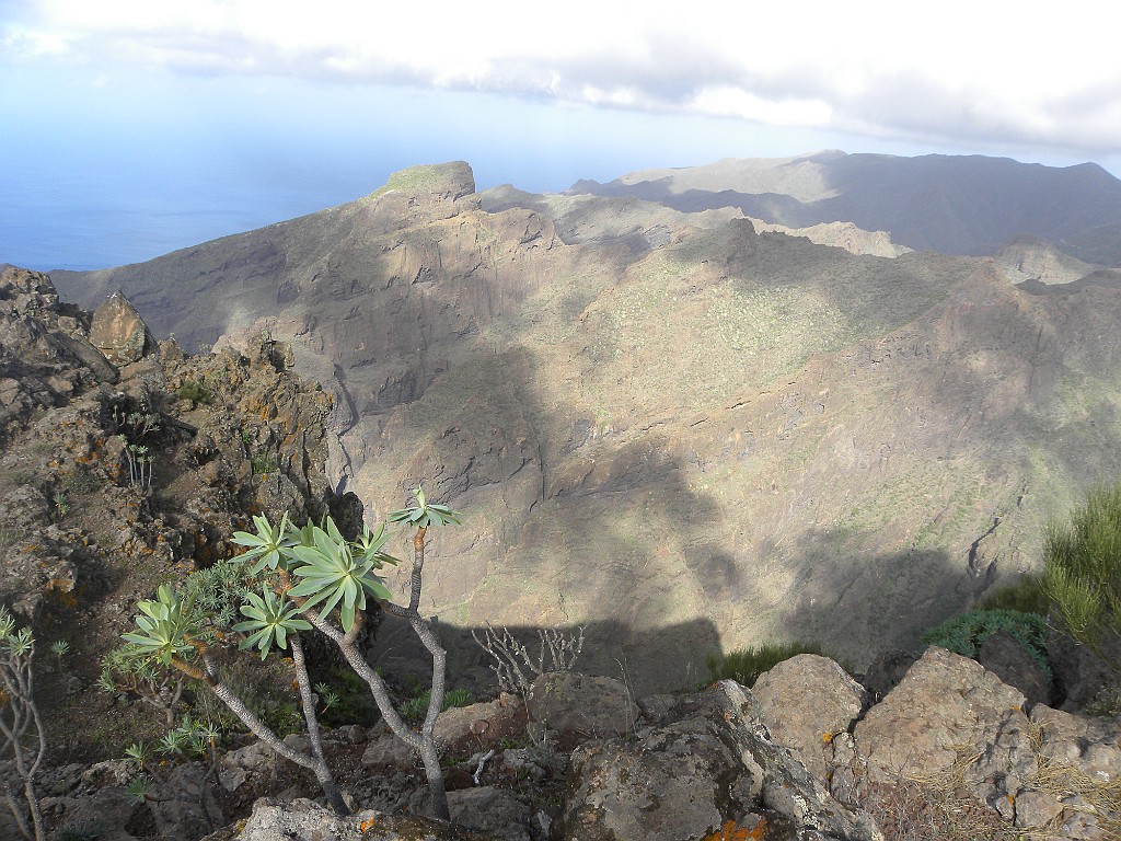 Teneriffa 2010 (10)